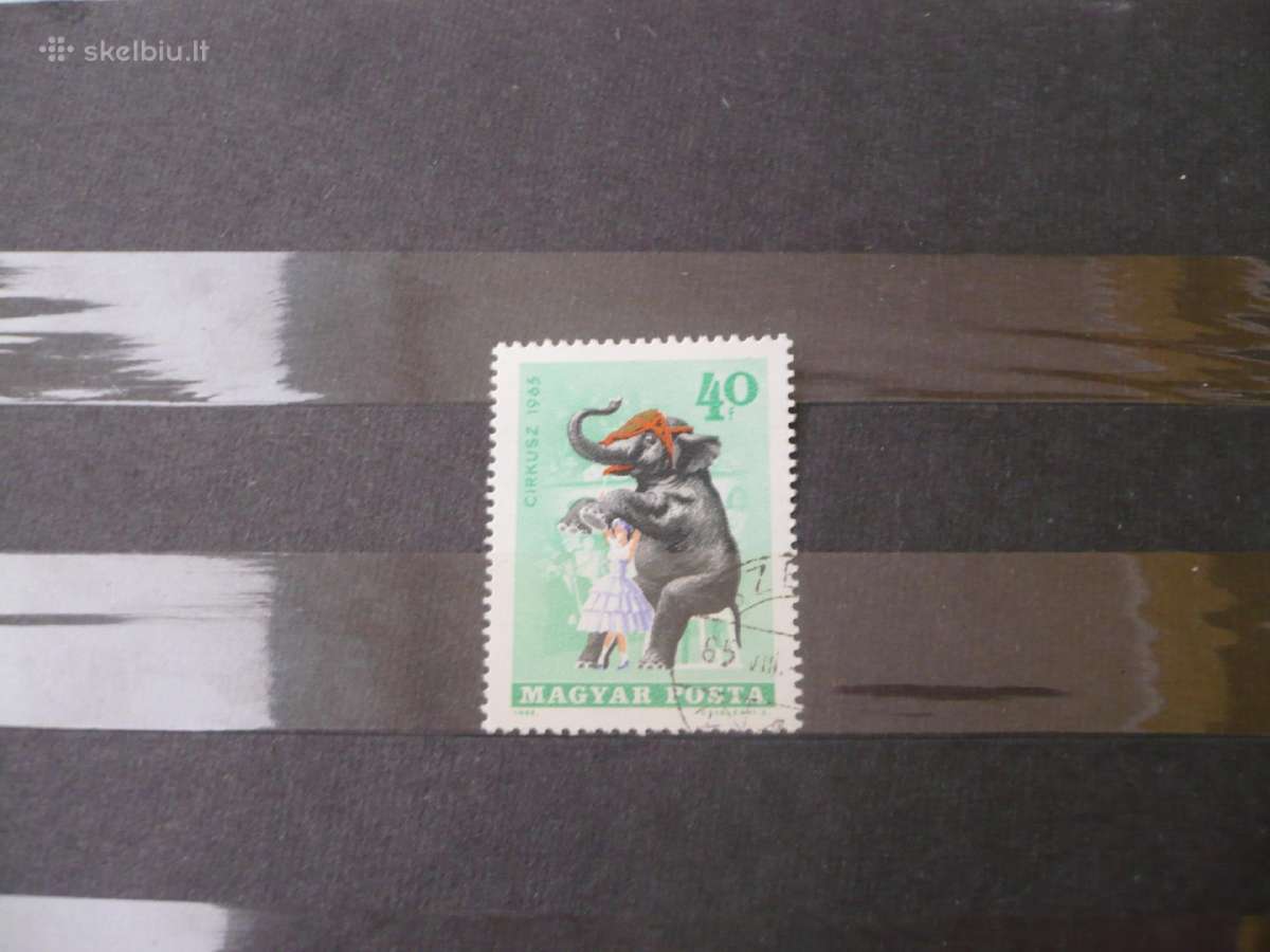 1965 metų cirkas