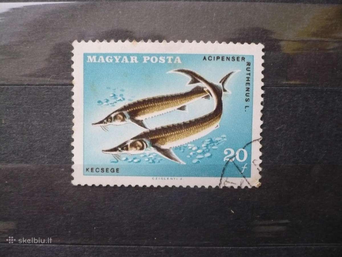 1967 14-asis tarptautinės meškeriotojų federacijos