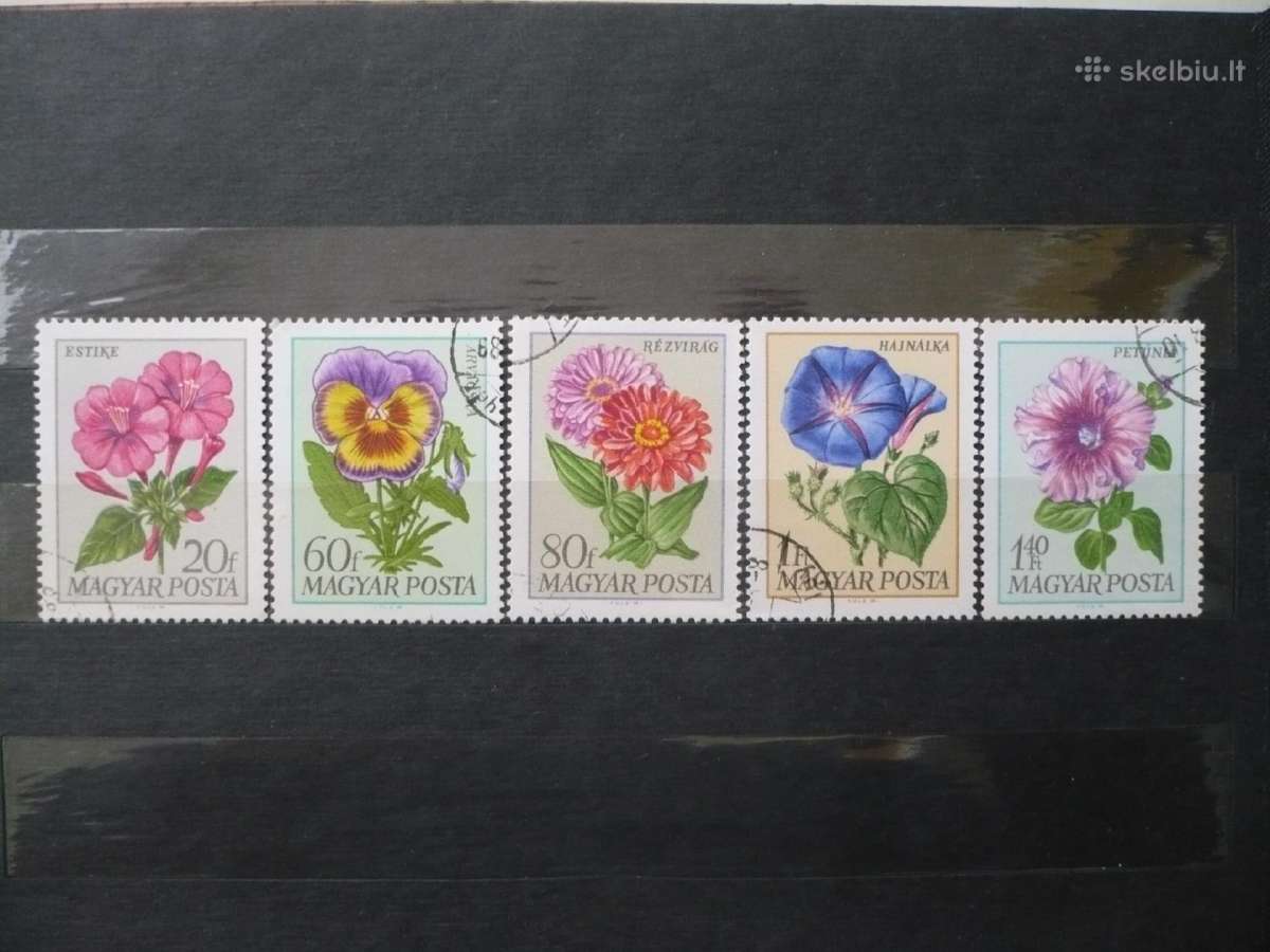 1968 m. sodo gėlės