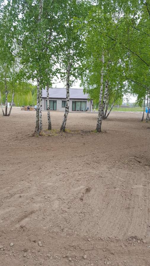 Kelmų krūmų rovimas. Žemės Frezavimas Klaipedos.r - nuotraukos Nr. 7