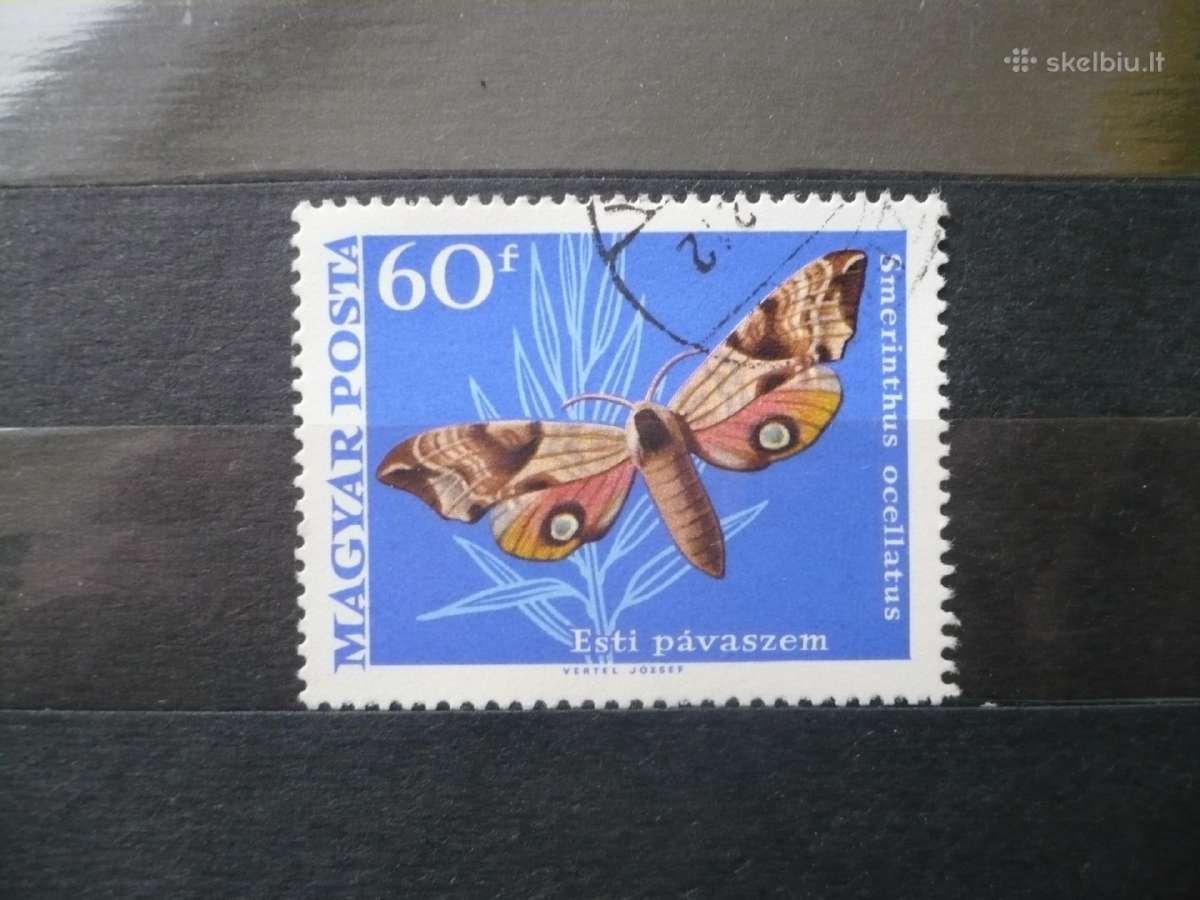1969 Drugeliai
