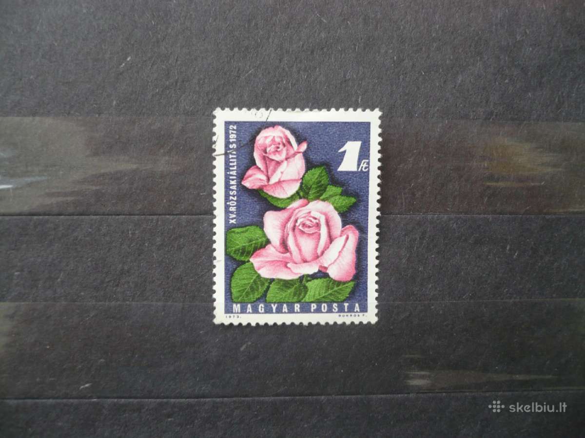 1972 m. rožių šou