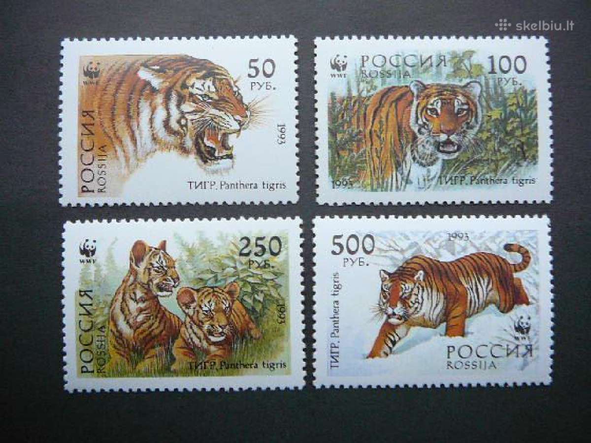 Tigrai Kates laukines Rusija 1993 r343/6s