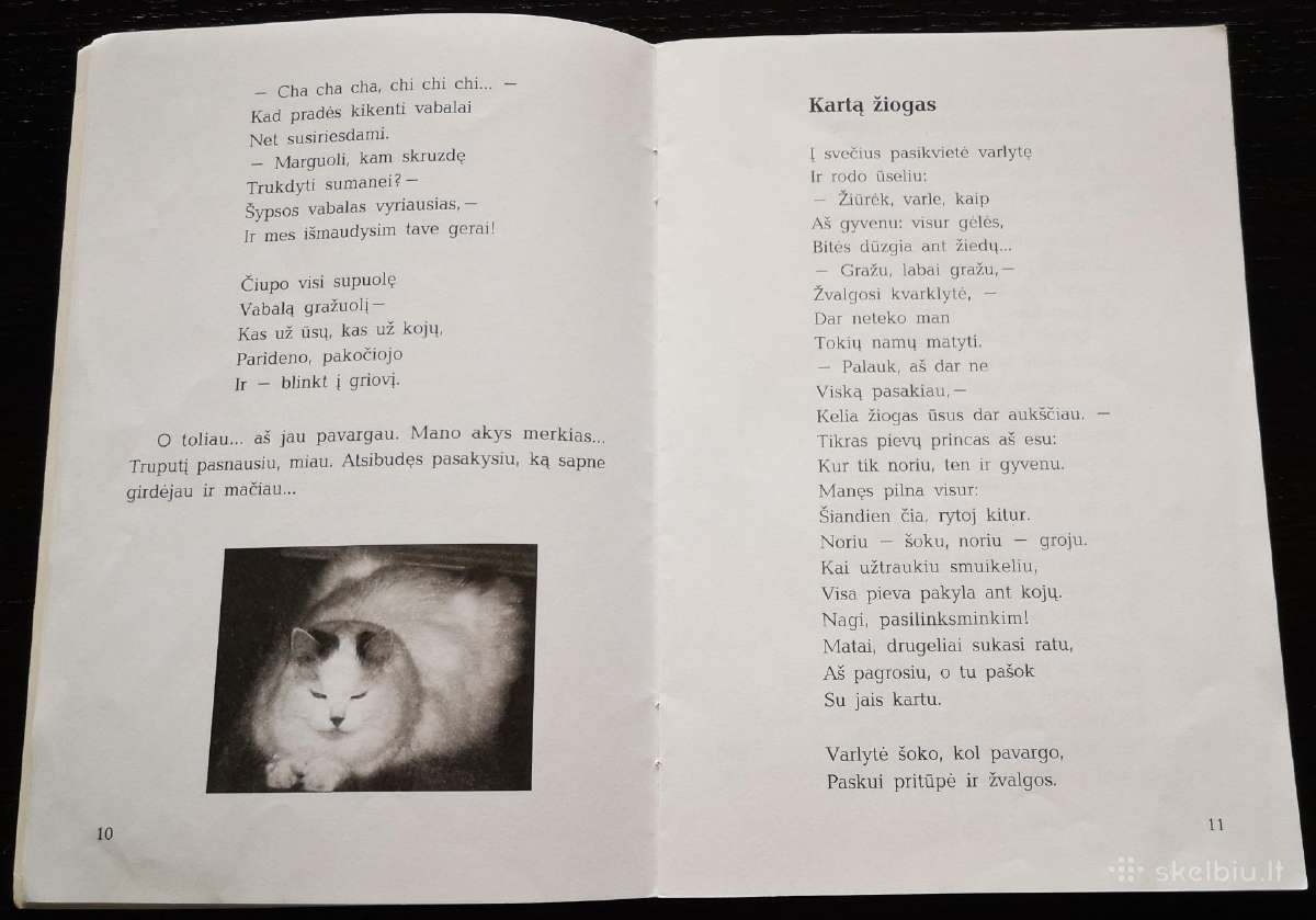 Aš – Princas pasakorius - nuotraukos Nr. 6