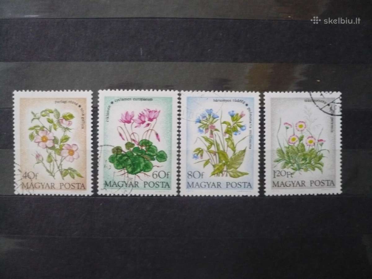 1973 m. lauko gėlės