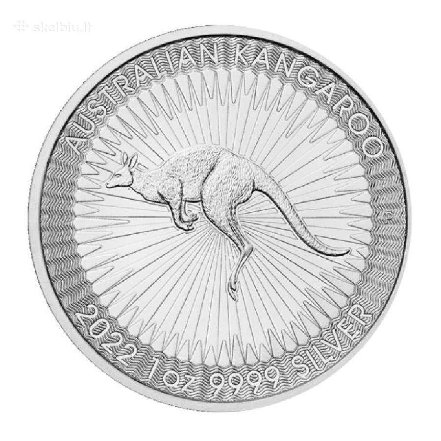 Investicines gryno 999 sidabro monetos - nuotraukos Nr. 2