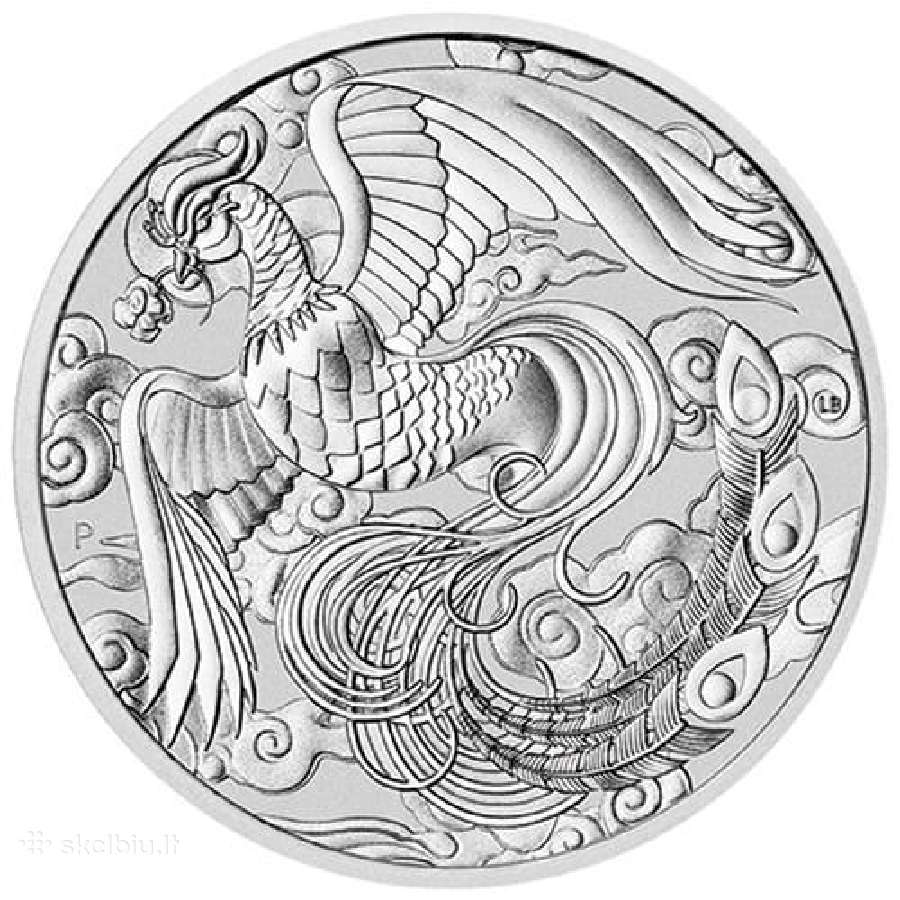 Investicines gryno 999 sidabro monetos - nuotraukos Nr. 9