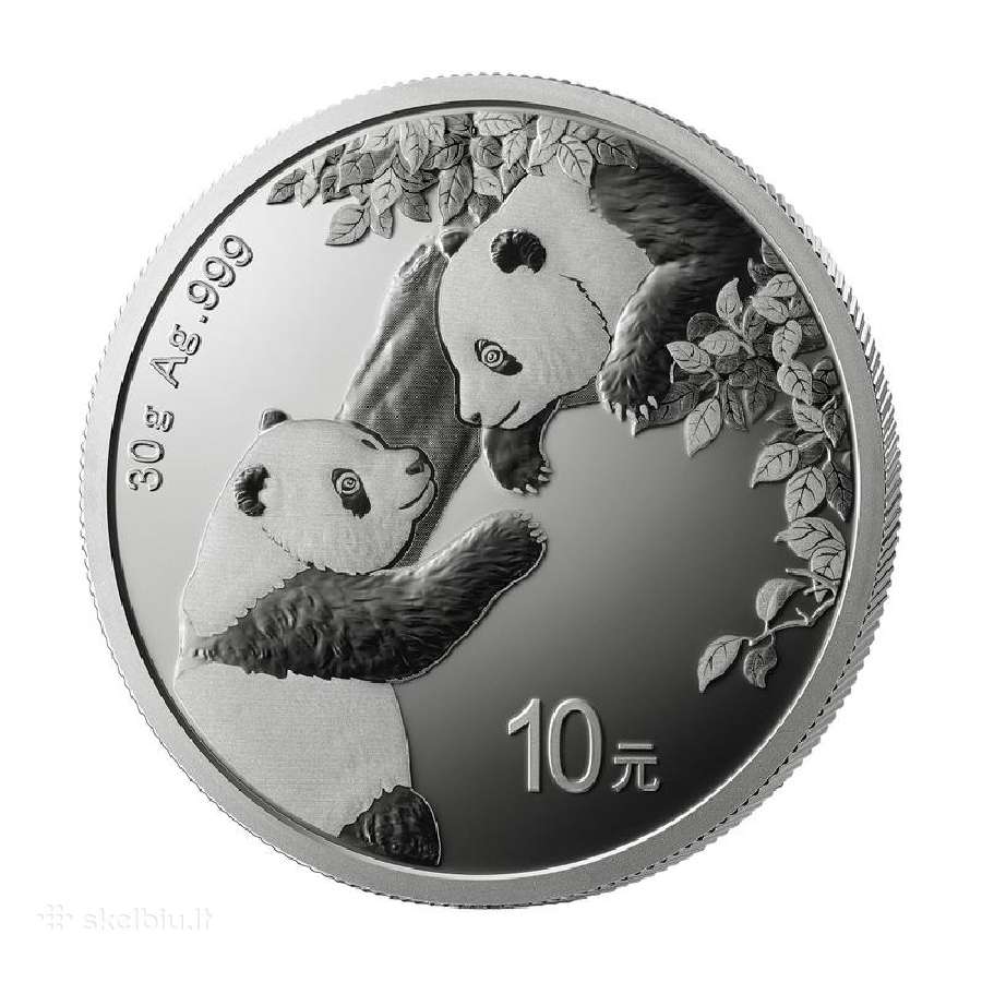 Investicines gryno 999 sidabro monetos - nuotraukos Nr. 3