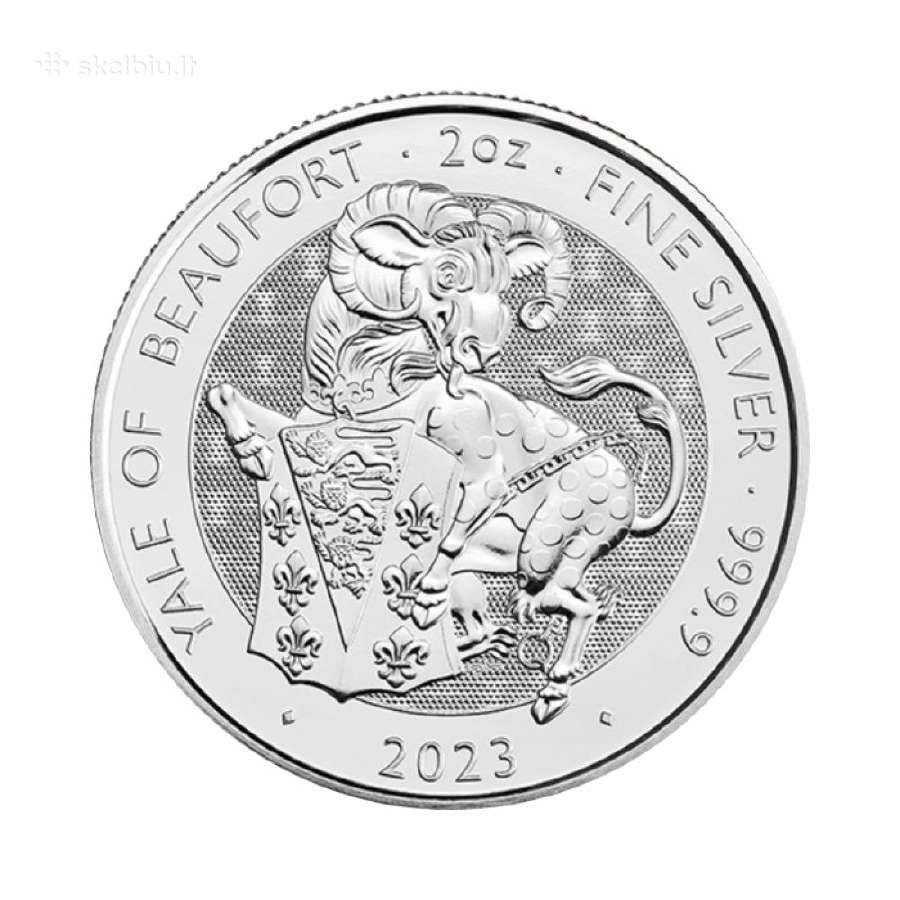 Investicines gryno 999 sidabro monetos - nuotraukos Nr. 11