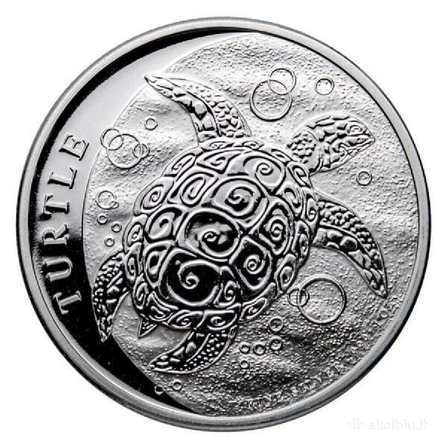 Investicines gryno 999 sidabro monetos - nuotraukos Nr. 21