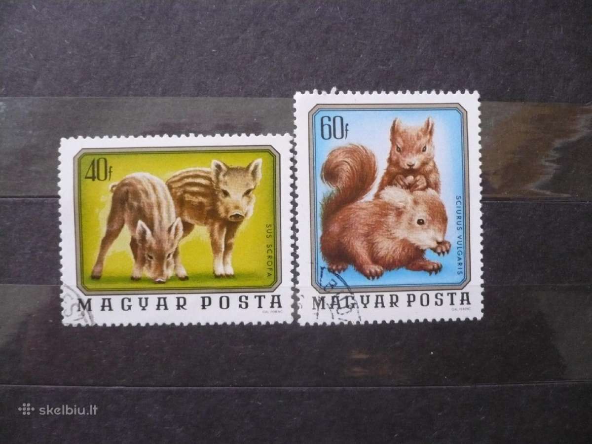 1976 m. Jauni laukiniai gyvūnai