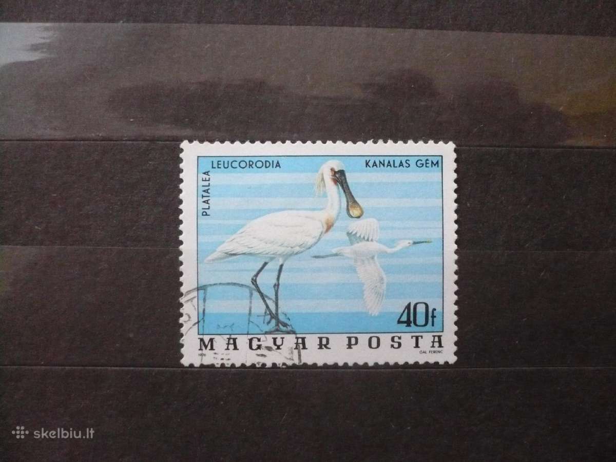1977 m. Hortobagy nacionalinio parko paukščiai