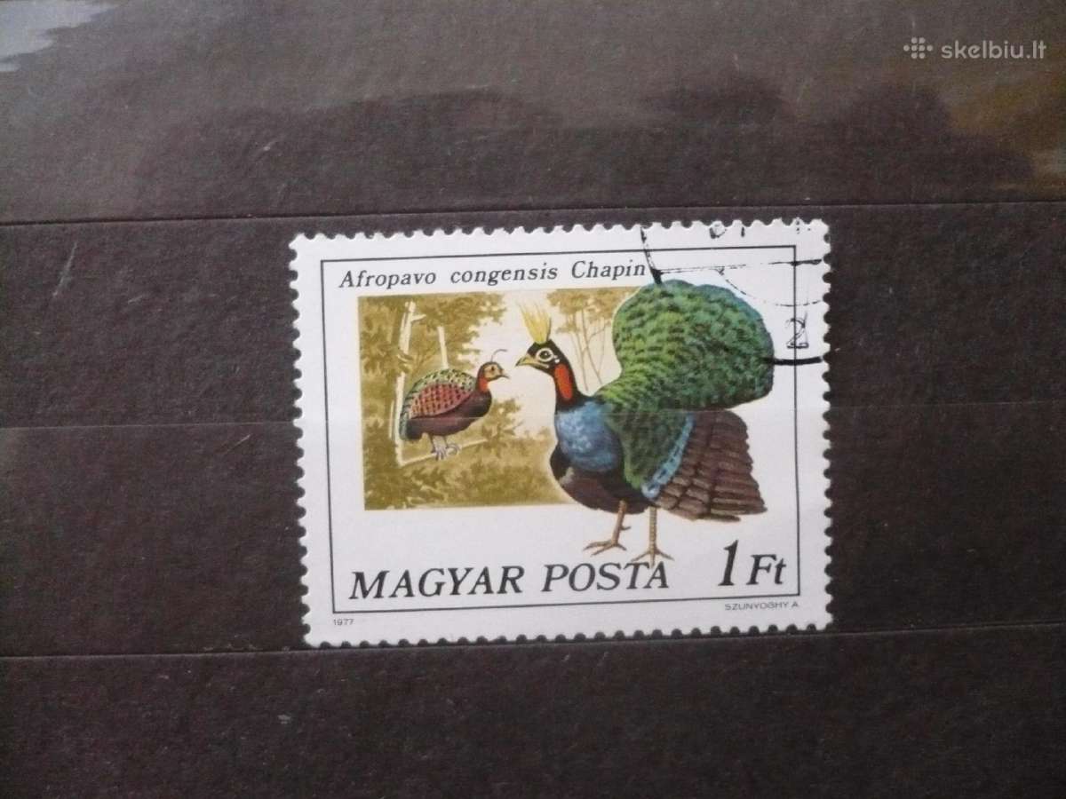 1977 m. paukščiai – povai ir fazanai