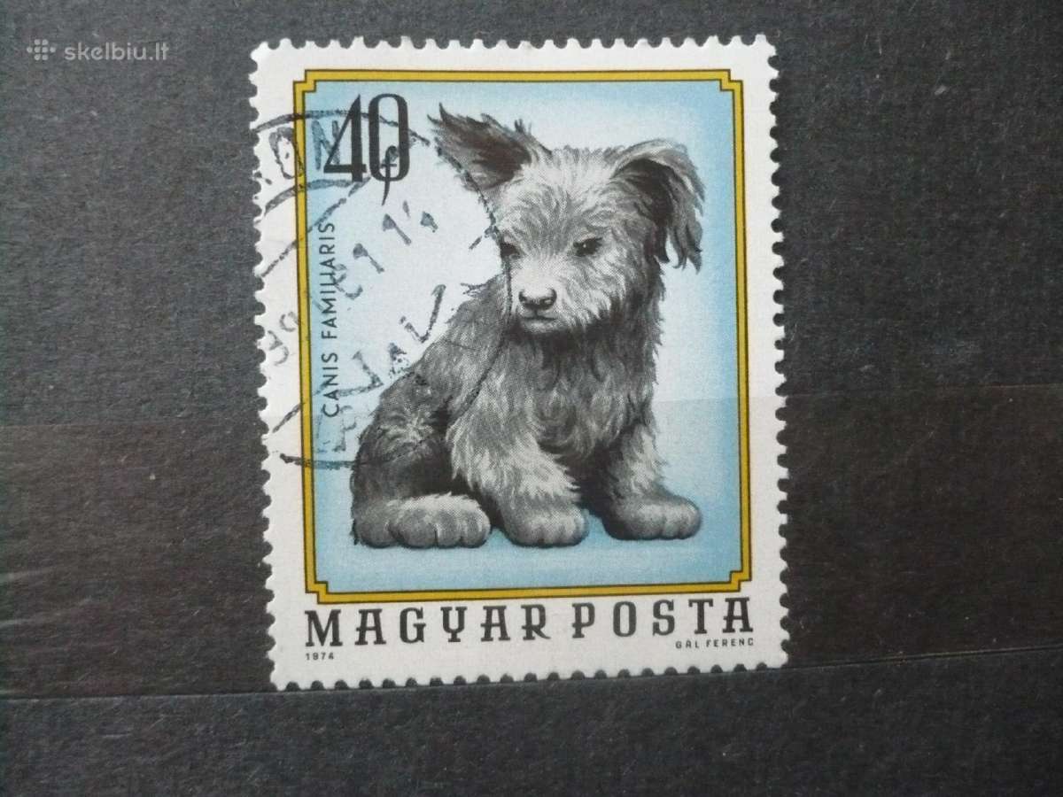 1974 Naminiai gyvūnai