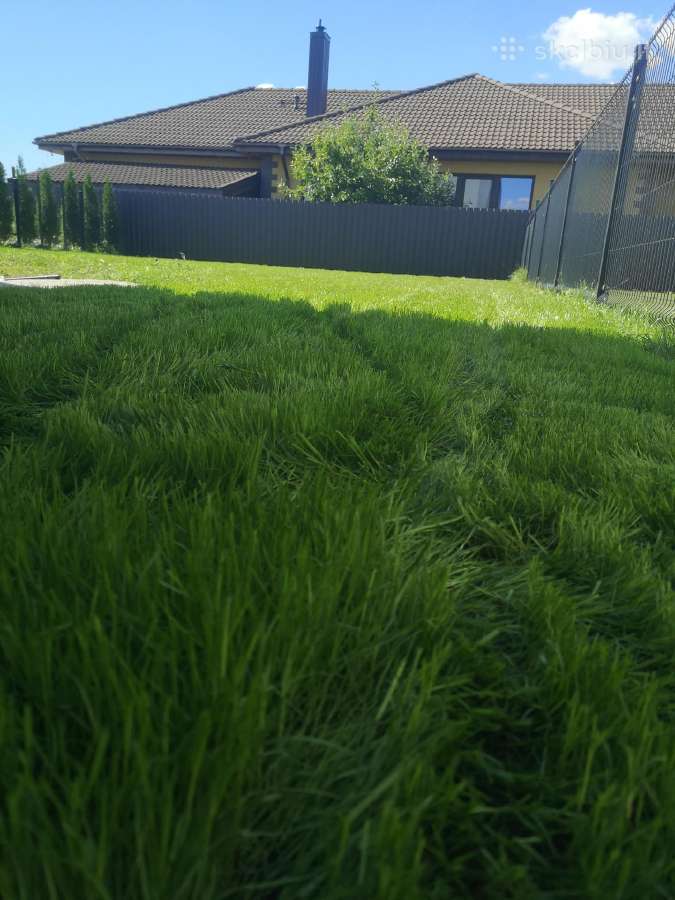 Vejos įrengimas, laistymo sistemos, apželdinimas - nuotraukos Nr. 30