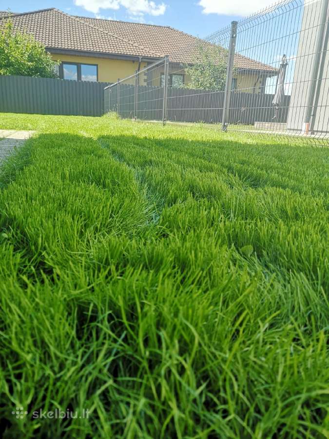 Vejos įrengimas, laistymo sistemos, apželdinimas - nuotraukos Nr. 24