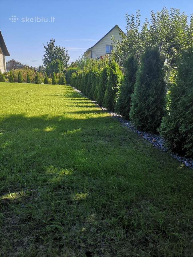 Vejos įrengimas, laistymo sistemos, apželdinimas - nuotraukos Nr. 28