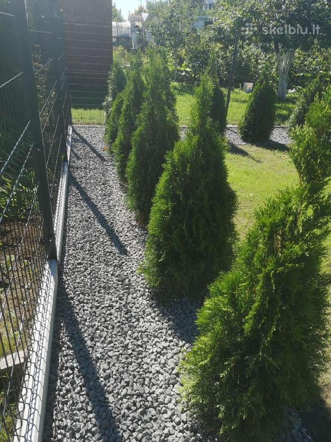 Vejos įrengimas, laistymo sistemos, apželdinimas - nuotraukos Nr. 27