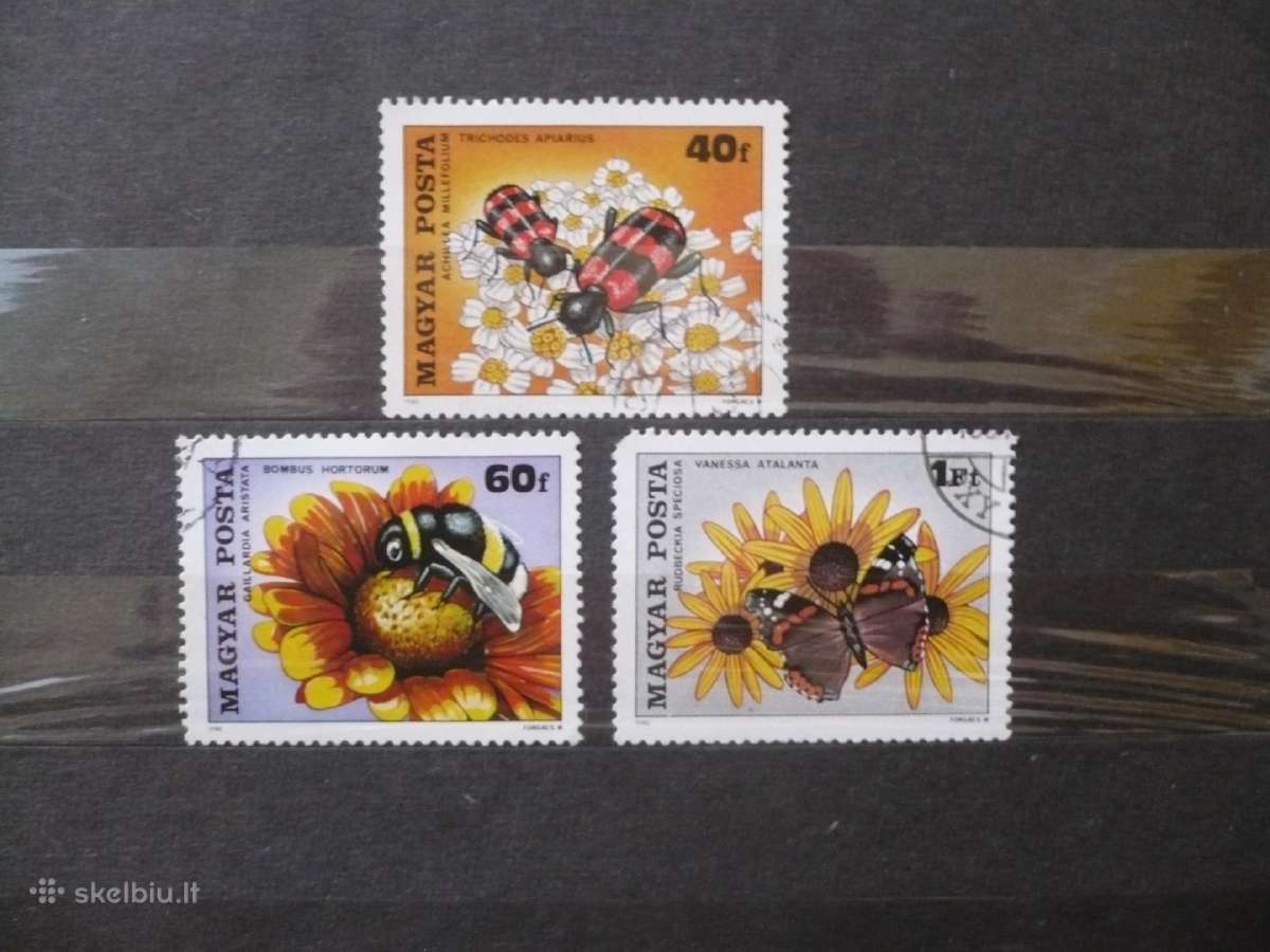 1980 m. Vabzdžiai apdulkina gėles