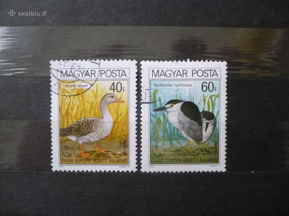1980 m. paukščiai – Europos gamtos apsaugos