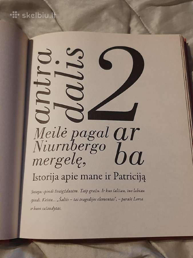 Paleistuvės, arba meilė pagal Niurnbergo mergelę - nuotraukos Nr. 8