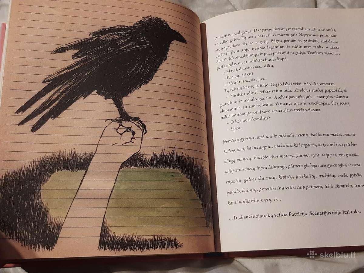 Paleistuvės, arba meilė pagal Niurnbergo mergelę - nuotraukos Nr. 9