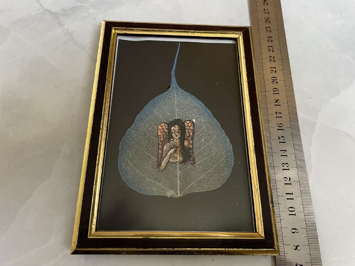 Gal kam i kolekcija