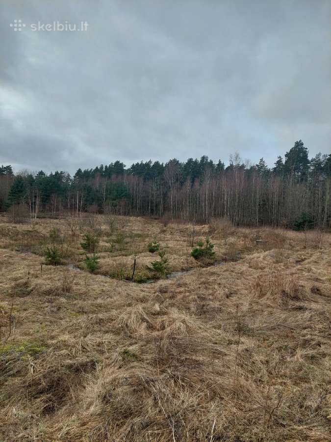 Parduodamas žemės sklypas, Kretingos rajonas