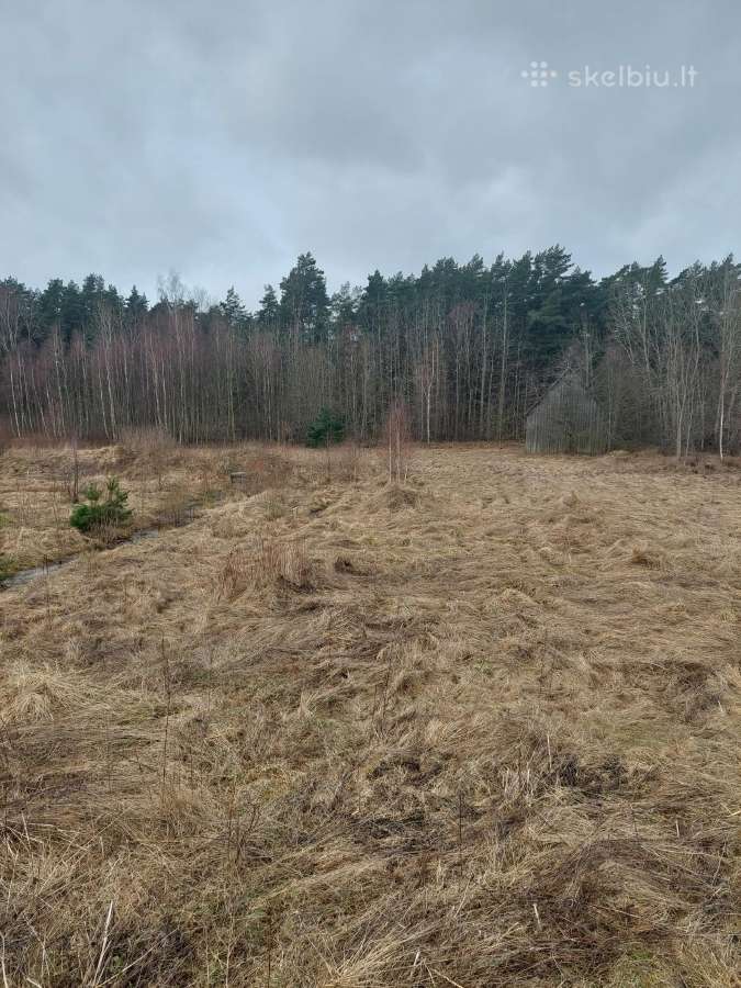Parduodamas žemės sklypas, Kretingos rajonas - nuotraukos Nr. 3