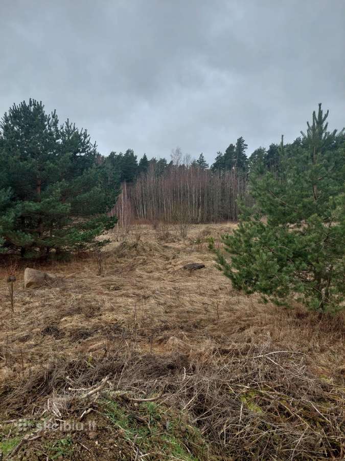Parduodamas žemės sklypas, Kretingos rajonas - nuotraukos Nr. 5