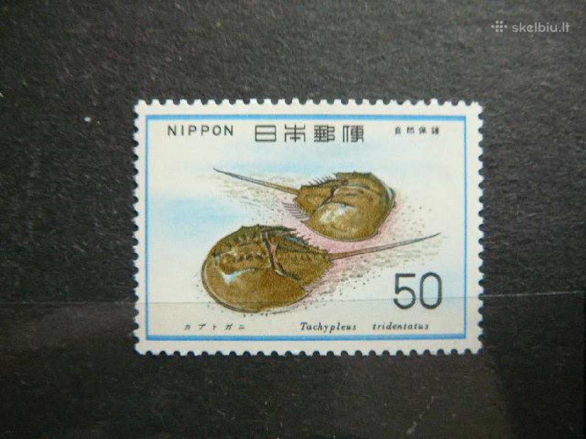 Kininis krabas Japonija 1977 jp1310m