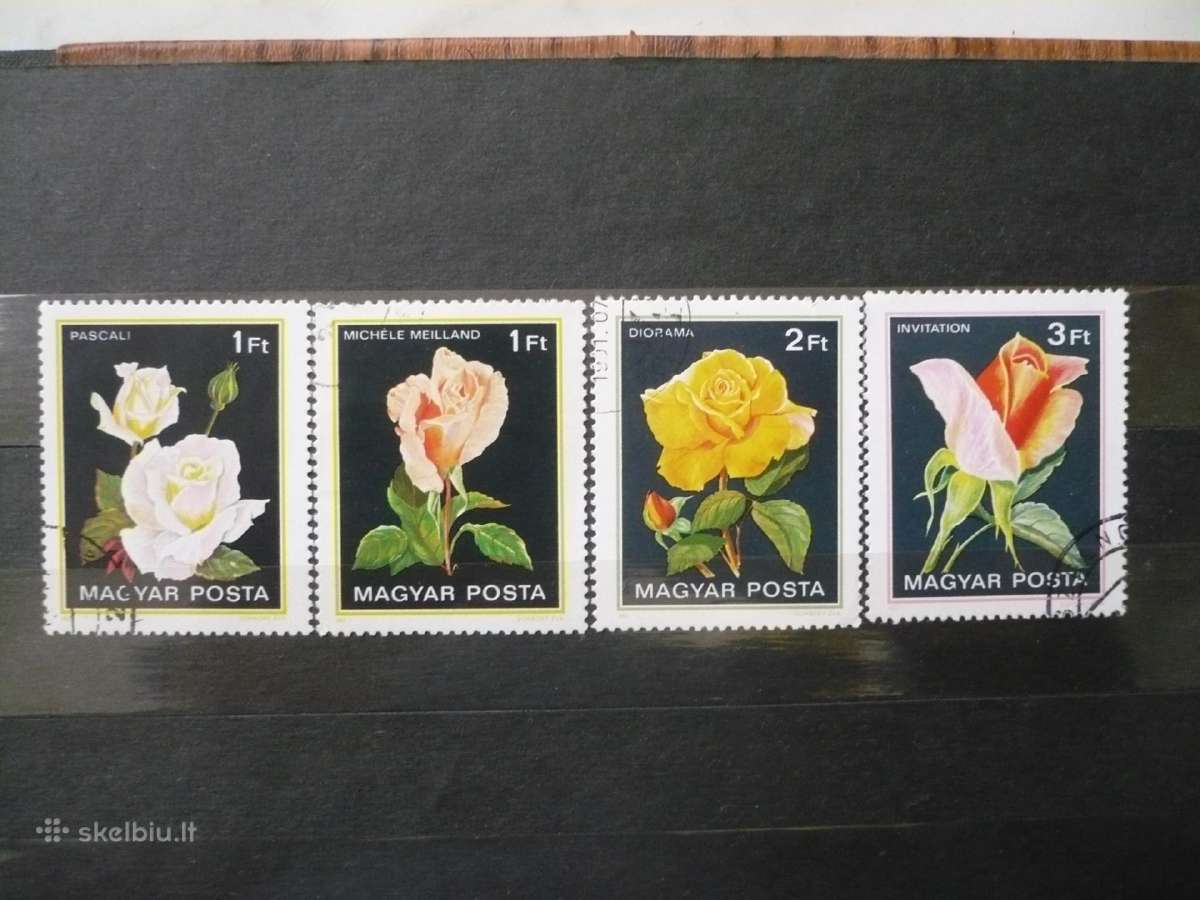 1982 Rožės
