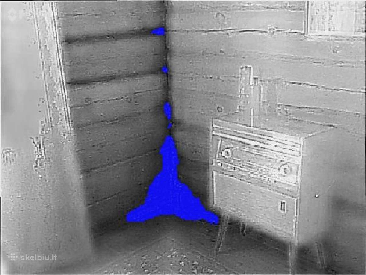 Flir One Thermal imaging camera 2 - 150 euro - nuotraukos Nr. 11