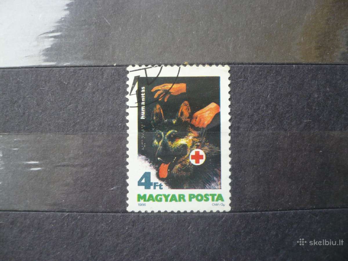 1986 m. Pagalba akliesiems