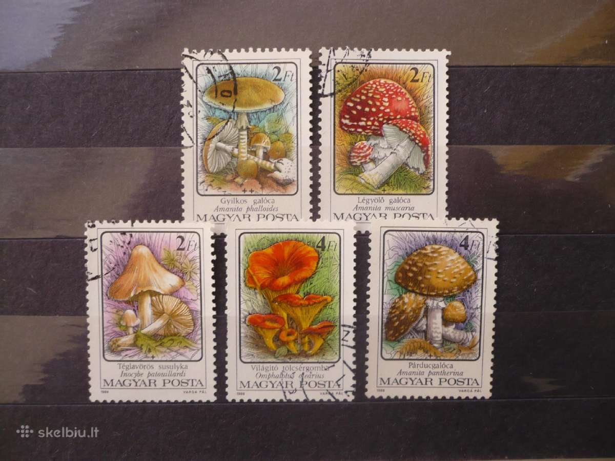 1986 Nuodingi grybai