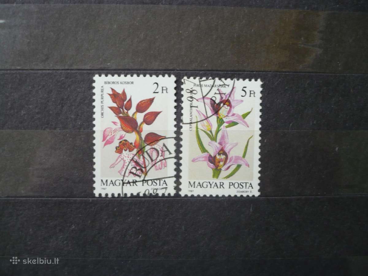 1987 Orchidėjos