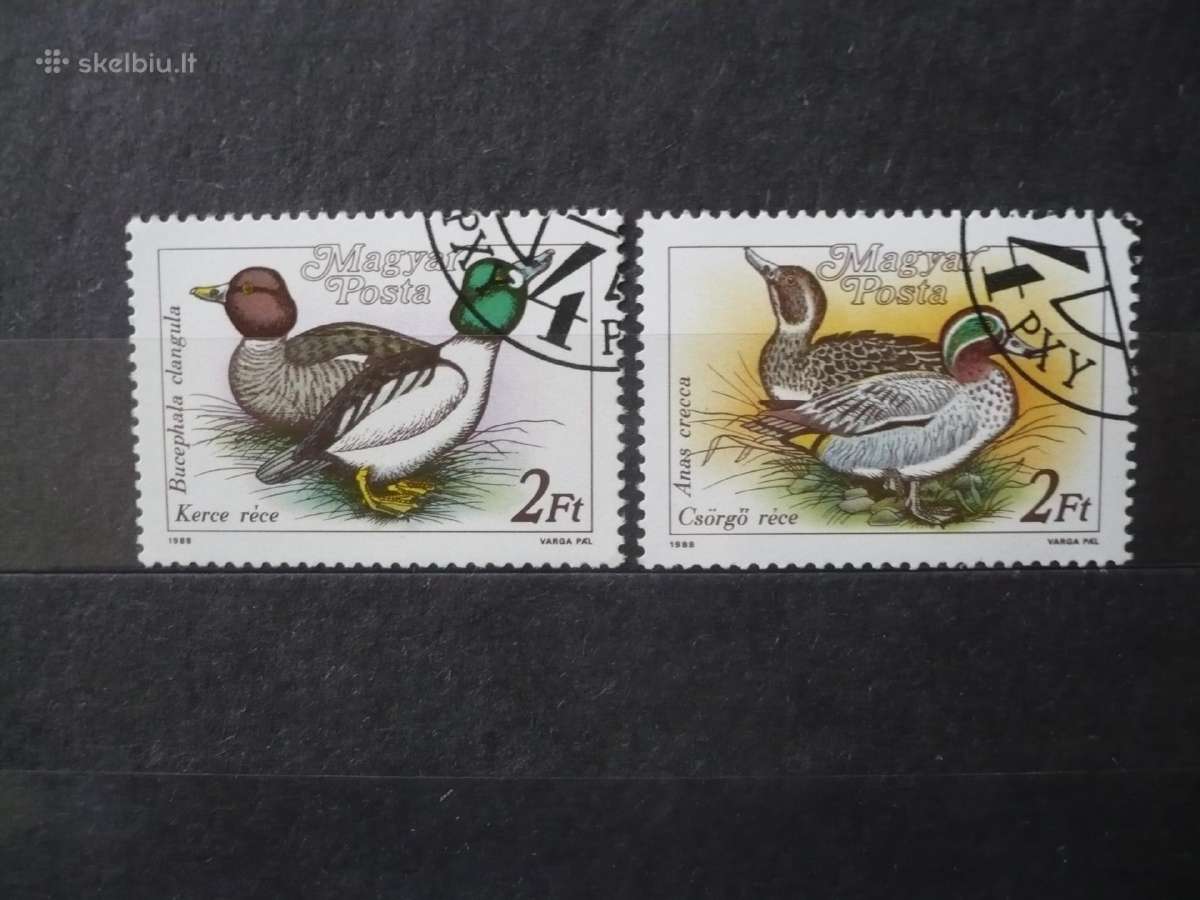 1988 Paukščiai – antys