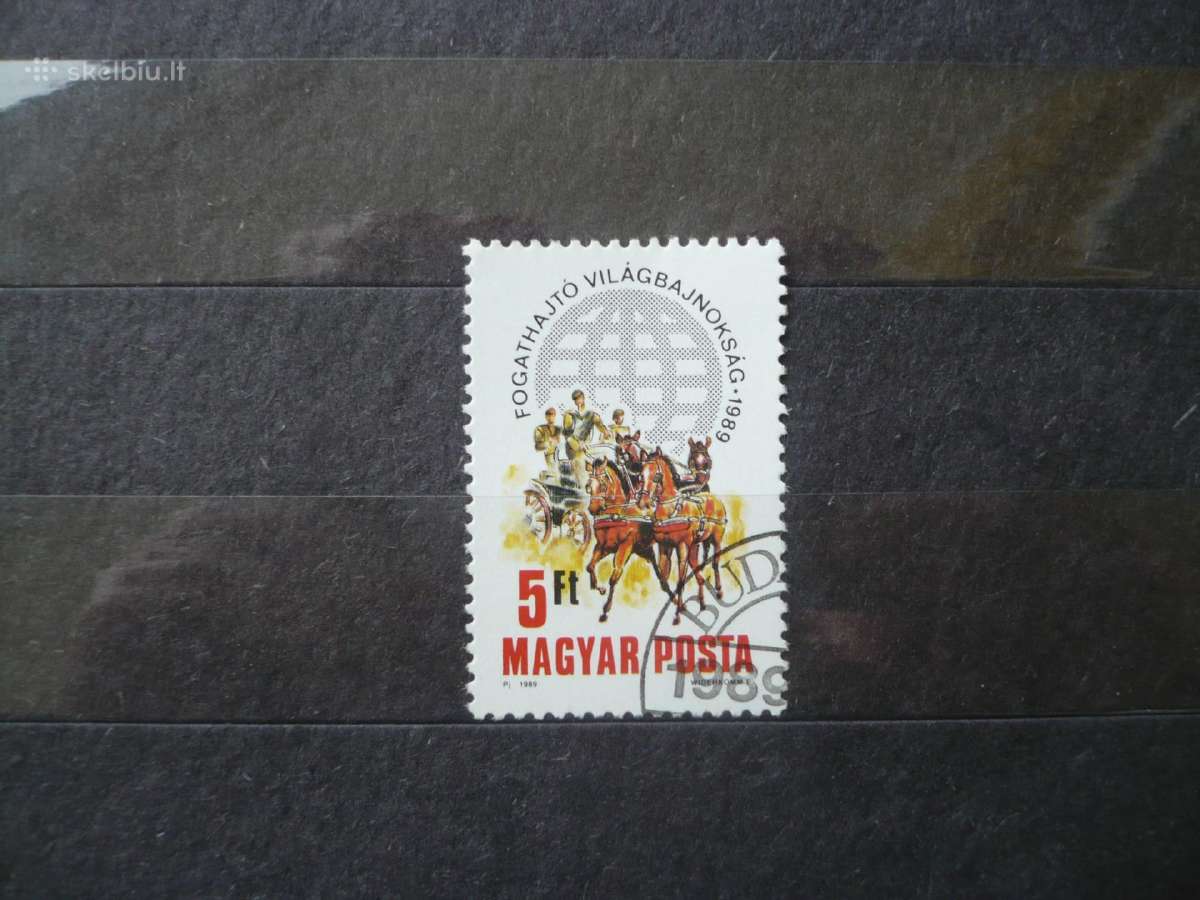1989 m. jojimo čempionatas