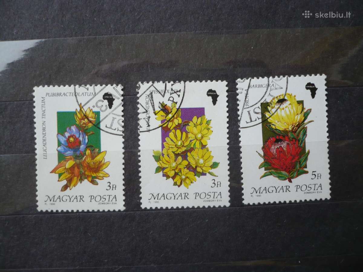 1990 Gėlės