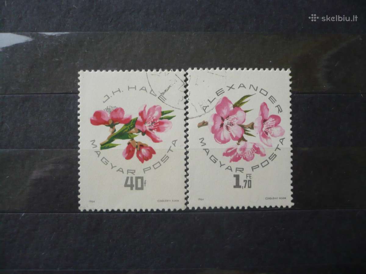 1964 m. vaisiai – nacionalinė persikų paroda