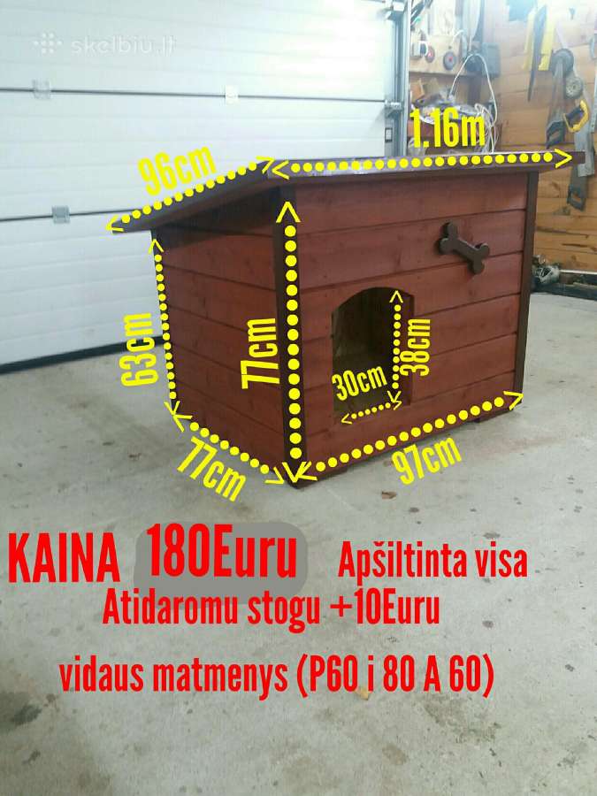 Šuns buda šuns budos - nuotraukos Nr. 14