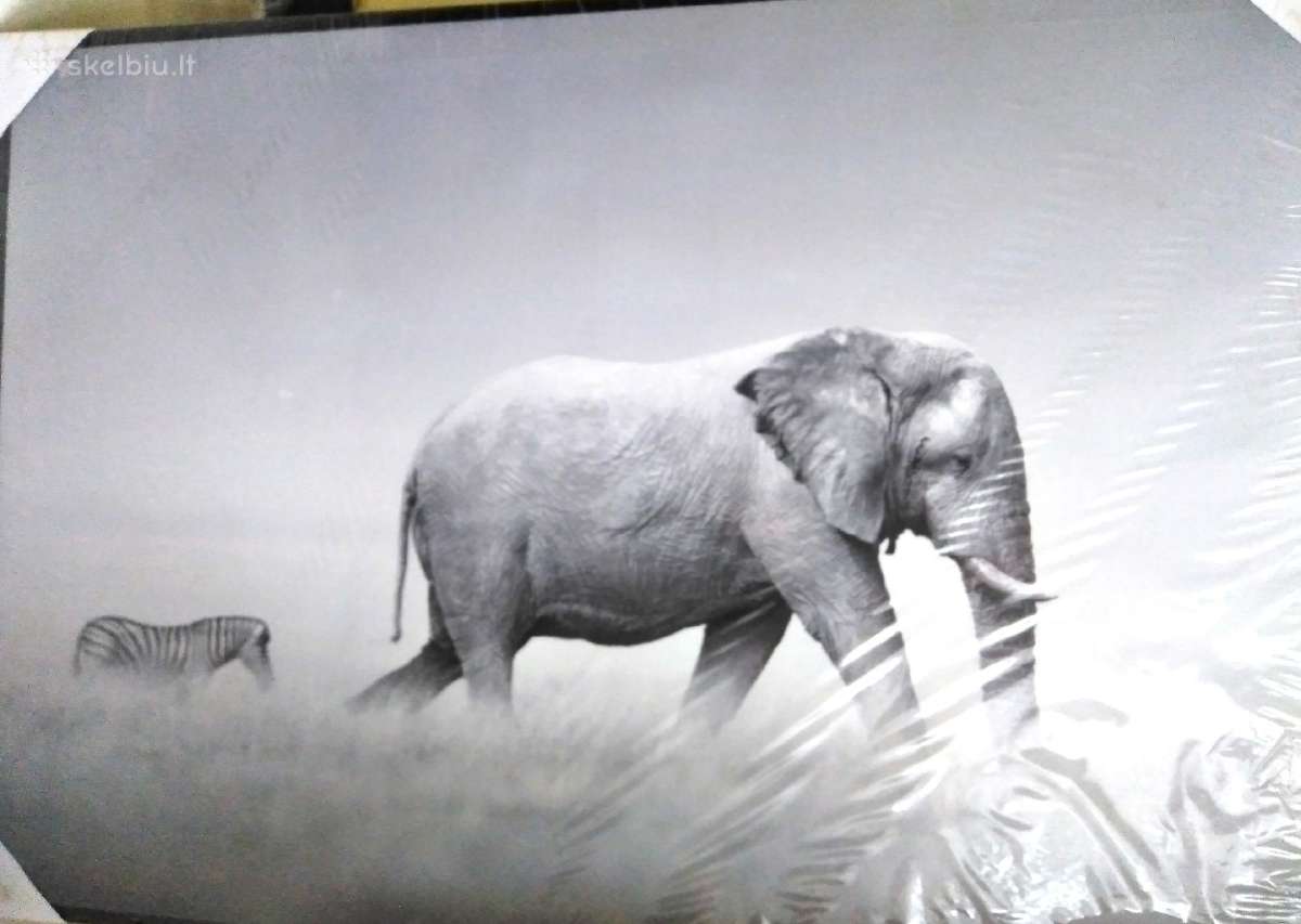 Paveikslai foto printai