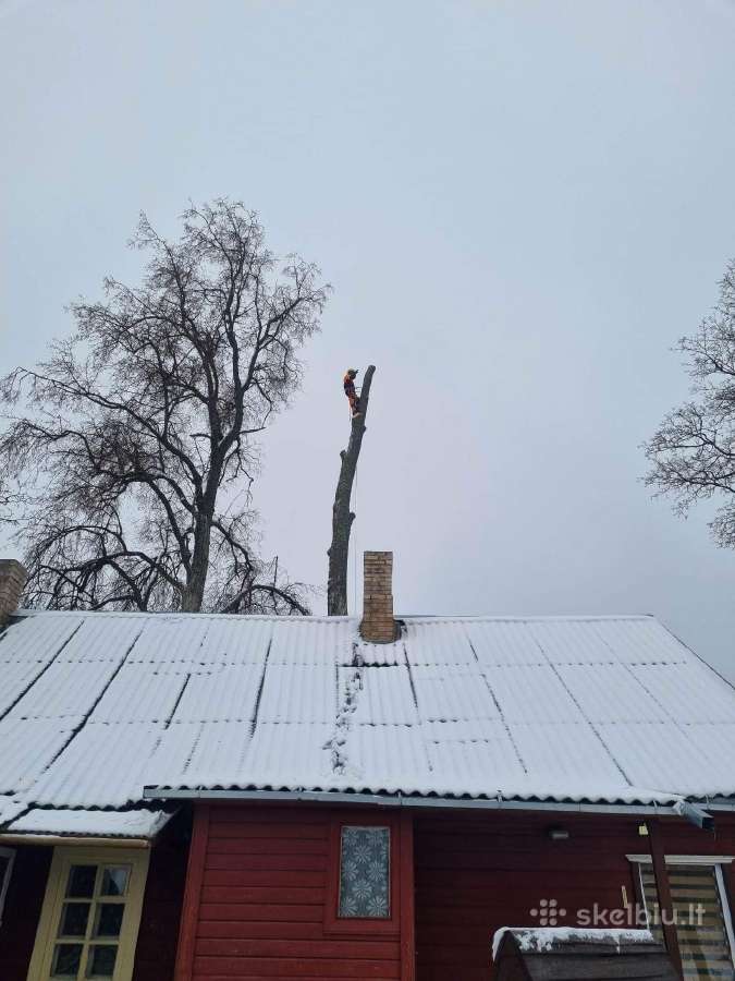 Medžių pjovimas-genėjimas-gyvatvorių karpymas - nuotraukos Nr. 10