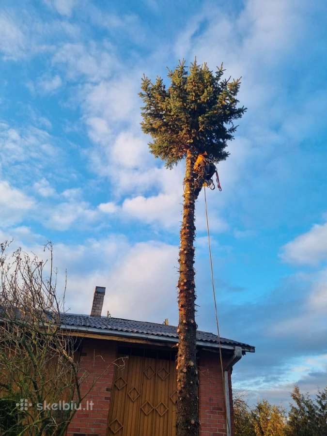 Medžių pjovimas-genėjimas-gyvatvorių karpymas - nuotraukos Nr. 14