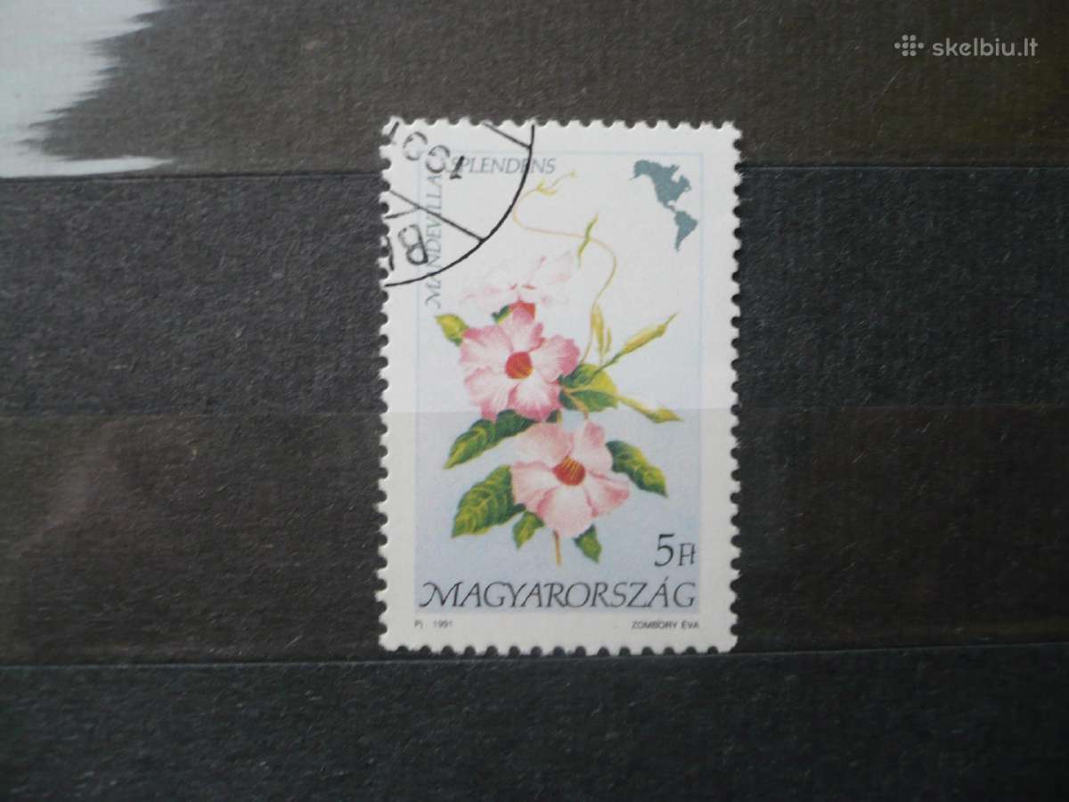 1991 m. Amerikos gėlės