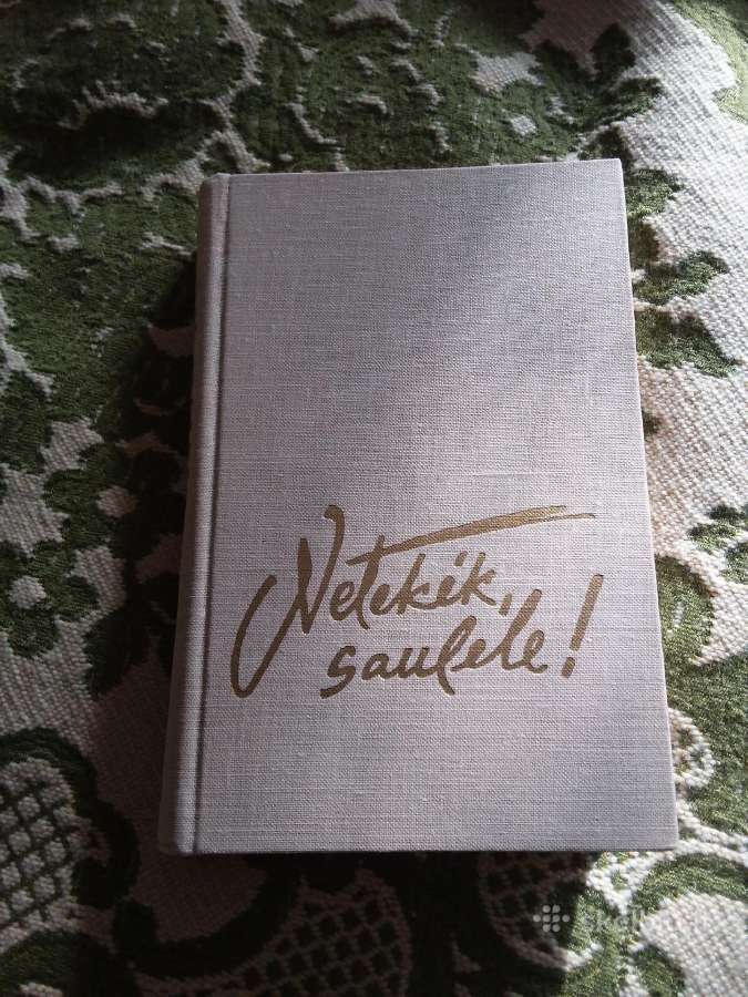 Juozas Paukštelis Netekėk, Saulele romanas