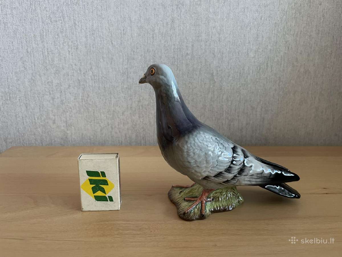 Gal kam i kolekcija