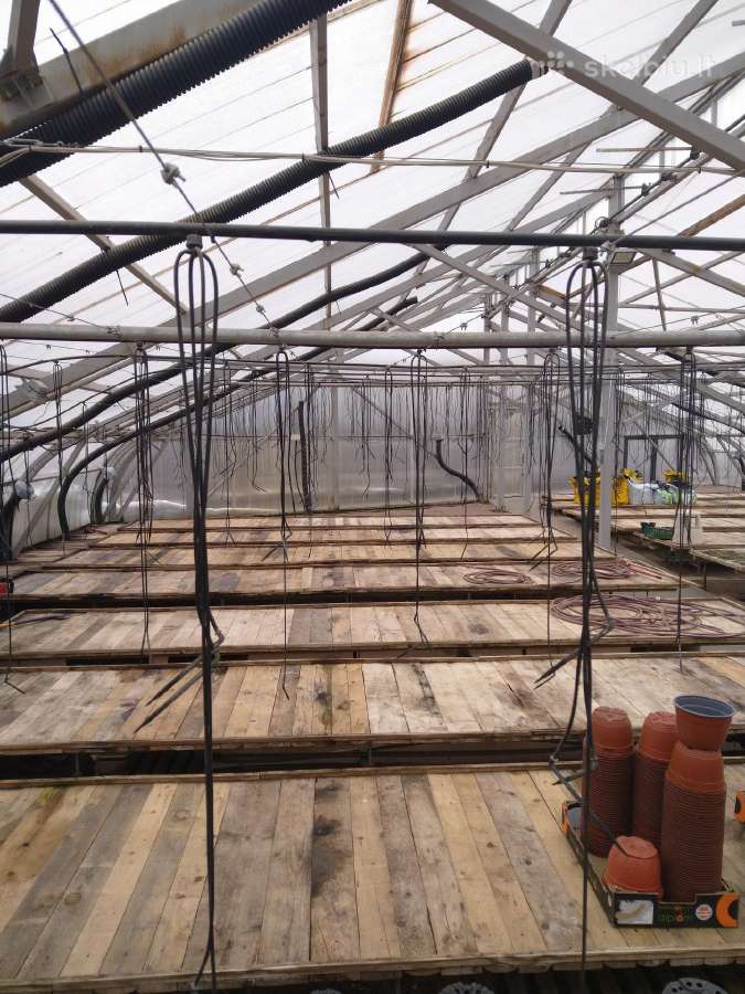 Lašalinė laistymo sistema