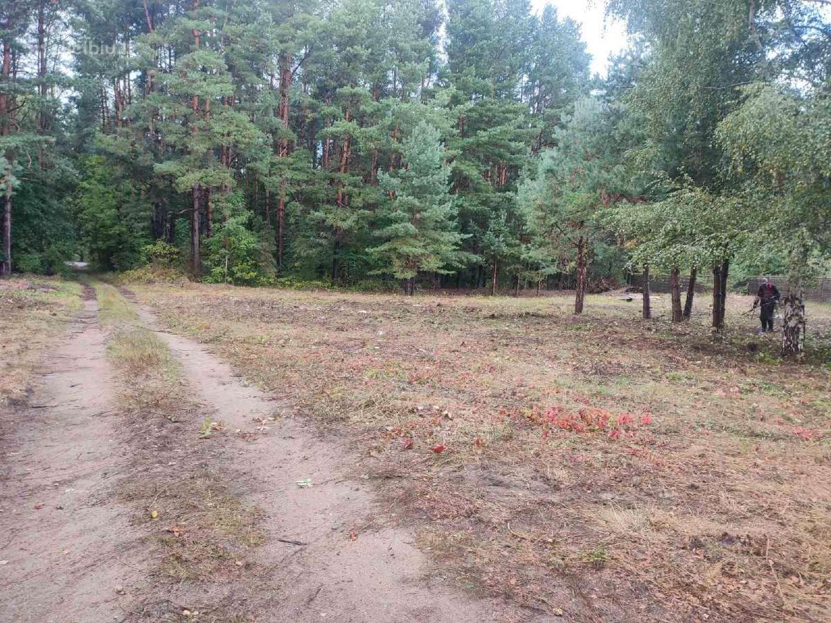 Medžių pjovimas,genėjimas,apleistų sklypų, šakų - nuotraukos Nr. 4