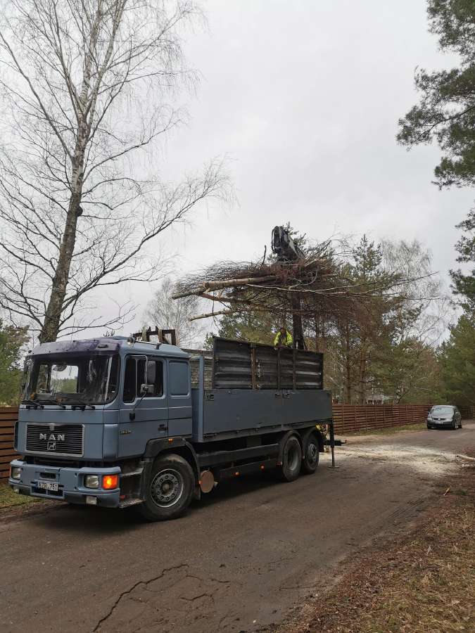 Medžių pjovimas,genėjimas,apleistų sklypų, šakų - nuotraukos Nr. 7